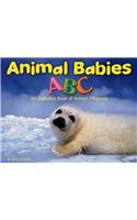 Animal Babies ABC