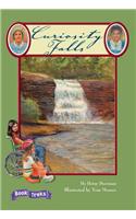 Book Treks Level Six Curiosity Falls Singls 2004c