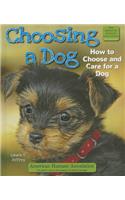 Choosing a Dog
