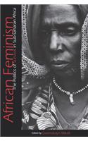 African Feminism