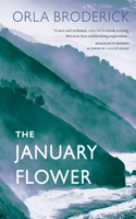 January Flower