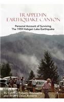 Trapped In Earthquake Canyon