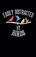Easily Distracted by Birds