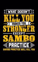 What doesn't kill you makes you stronger except Sambo practice Sambo practice will kill you: Daily 100 page 6 x 9 journal to jot down your ideas and notes