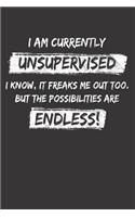 Sarcastic Sayings Unsupervised Notebook Journal