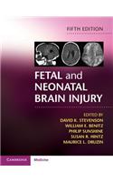 Fetal and Neonatal Brain Injury