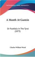 A Month at Gastein: Or Footfalls in the Tyrol (1873)