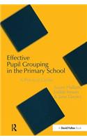 Effective Pupil Grouping in the Primary School