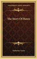 The Story Of Bawn