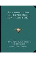 Bruchstucke Aus Den Erfahrungen Meines Lebens (1828)