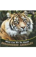 What Can We Do about Endangered Animals?