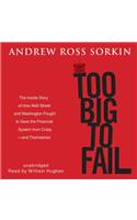 Too Big to Fail: The Inside Story of How Wall Street and Washington Fought to Save the Financial System from Crisis—and Themselves