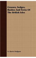 Grasses, Sedges, Rushes And Ferns Of The British Isles