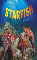 Starfish
