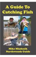 A Guide To Catching Fish