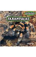 Tarantulas