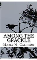 Among the Grackle