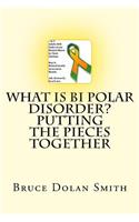 What is Bi Polar Disorder? Putting the Pieces Together