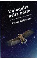 Un'aquila nella notte