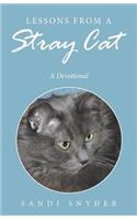 Lessons from a Stray Cat