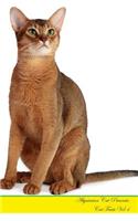 Abyssinian Cat Presents: Cat Facts Workbook. Abyssinian Cat Presents Cat Facts Workbook with Self Therapy, Journalling, Productivity Tracker with Self Therapy, Journalling, Productivity Tracker Workbook. Includes: Space for Notes, to Do Lists, Brai
