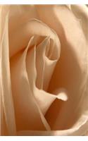 Floral Journal Rustic Cream Rose: (Notebook, Diary, Blank Book)(Flower Photo Journals Notebooks Diaries)