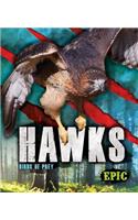 Hawks