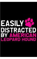 Easily Distracted by American Leopard Hound