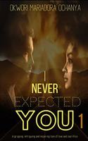 I Never Expected You