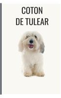 Coton de Tulear