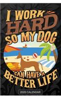 I Work Hard So My Dog Can Have A Better Life: Ibizan Hound 2020 Calendar - Customized Gift For Ibizan Hound Dog Owner