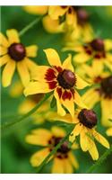 Yellow Coneflower Journal (Ratbida Pinnata): 150 page lined notebook/diary