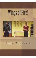 Wings of Fire!