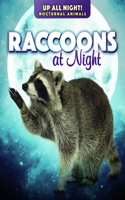 Raccoons at Night