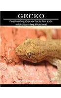 Gecko: Fascinating Gecko Facts for Kids with Stunning Pictures!