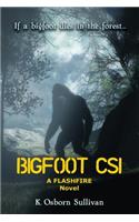 Bigfoot CSI