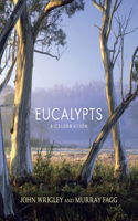 Eucalypts