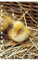 Duckling Mini Notebook