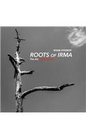 Roots of Irma