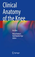 Clinical Anatomy of the Knee