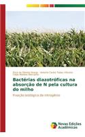 Bactérias diazotróficas na absorção de N pela cultura do milho