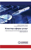 Klaster Sfery Uslug
