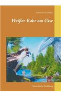 Weißer Rabe am Gise