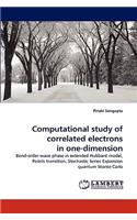 Computational study of correlated electrons in one-dimension