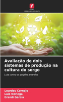 Avaliação de dois sistemas de produção na cultura do sorgo