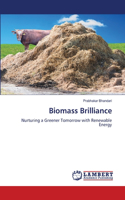 Biomass Brilliance