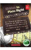 Hidden In Plain Sight  Su-Lin Ang
