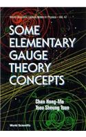 Some Elementary Gauge Theory Concepts