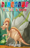 Dinosaur Coloring Book for Kids