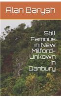 Still Famous in New Milford-Unkown in Danbury